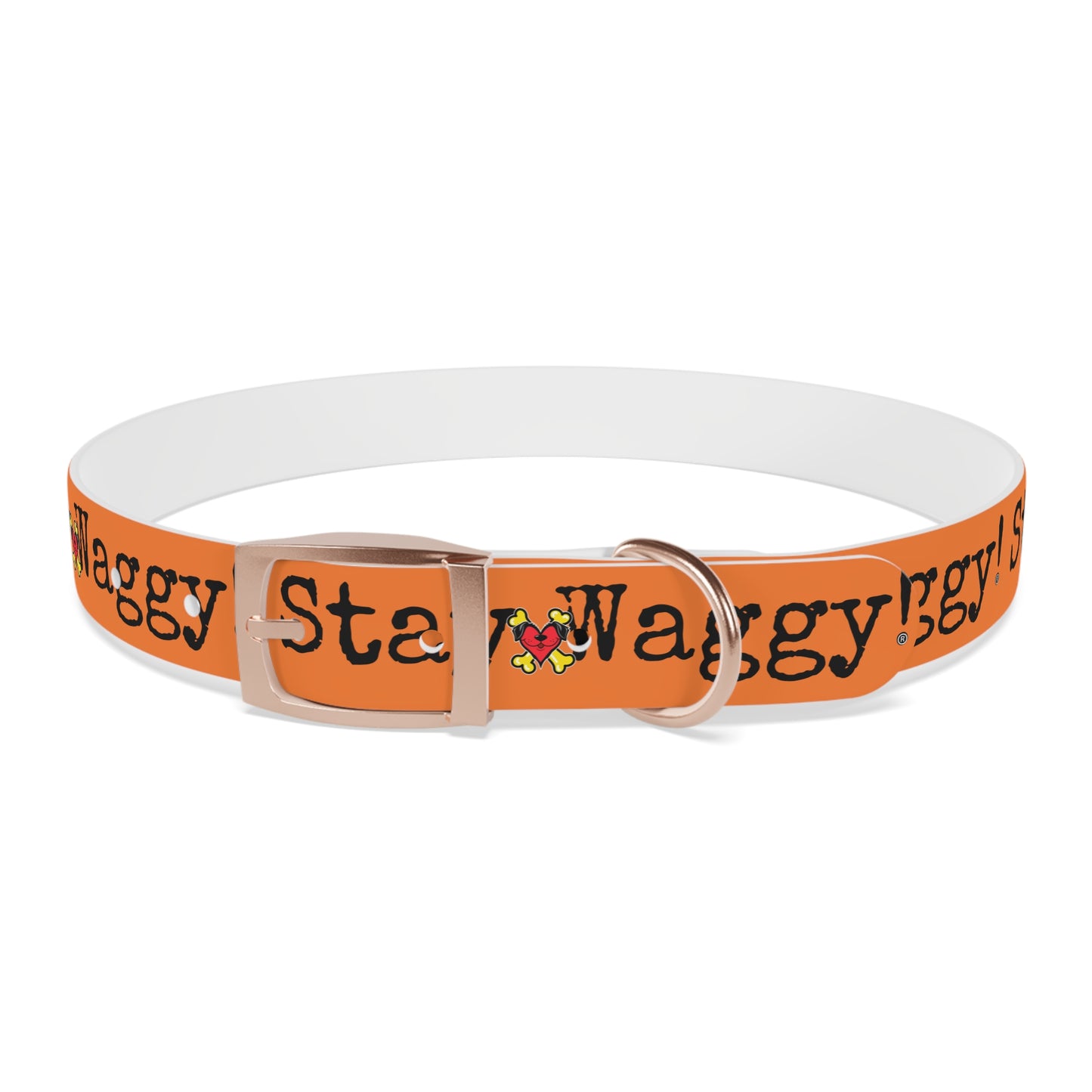 Stay Waggy! Dog Collar - Orange