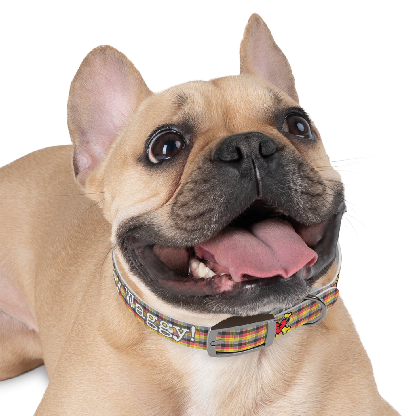 Stay Waggy! Plaid Dog Collar