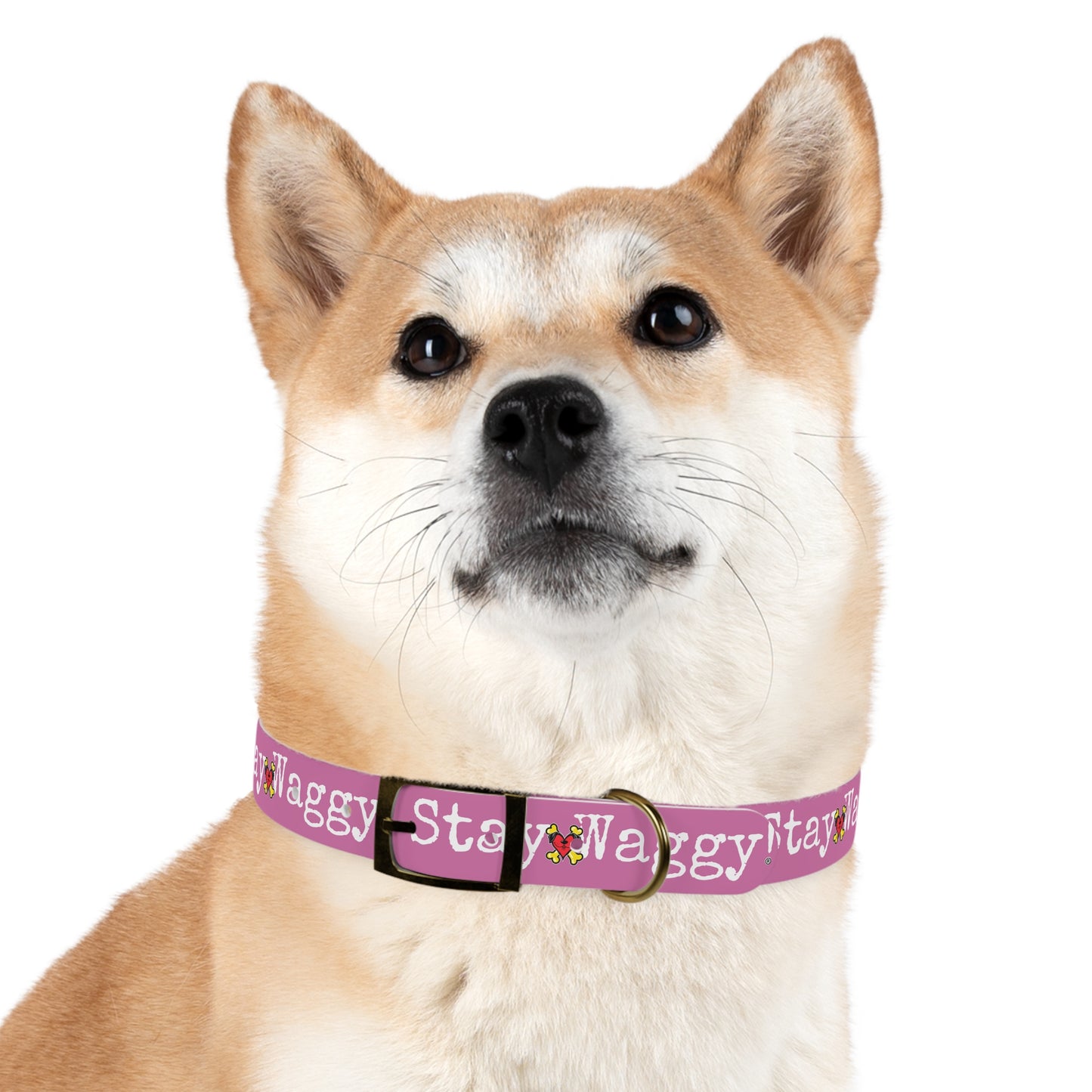 Stay Waggy! Dog Collar - Light Pink