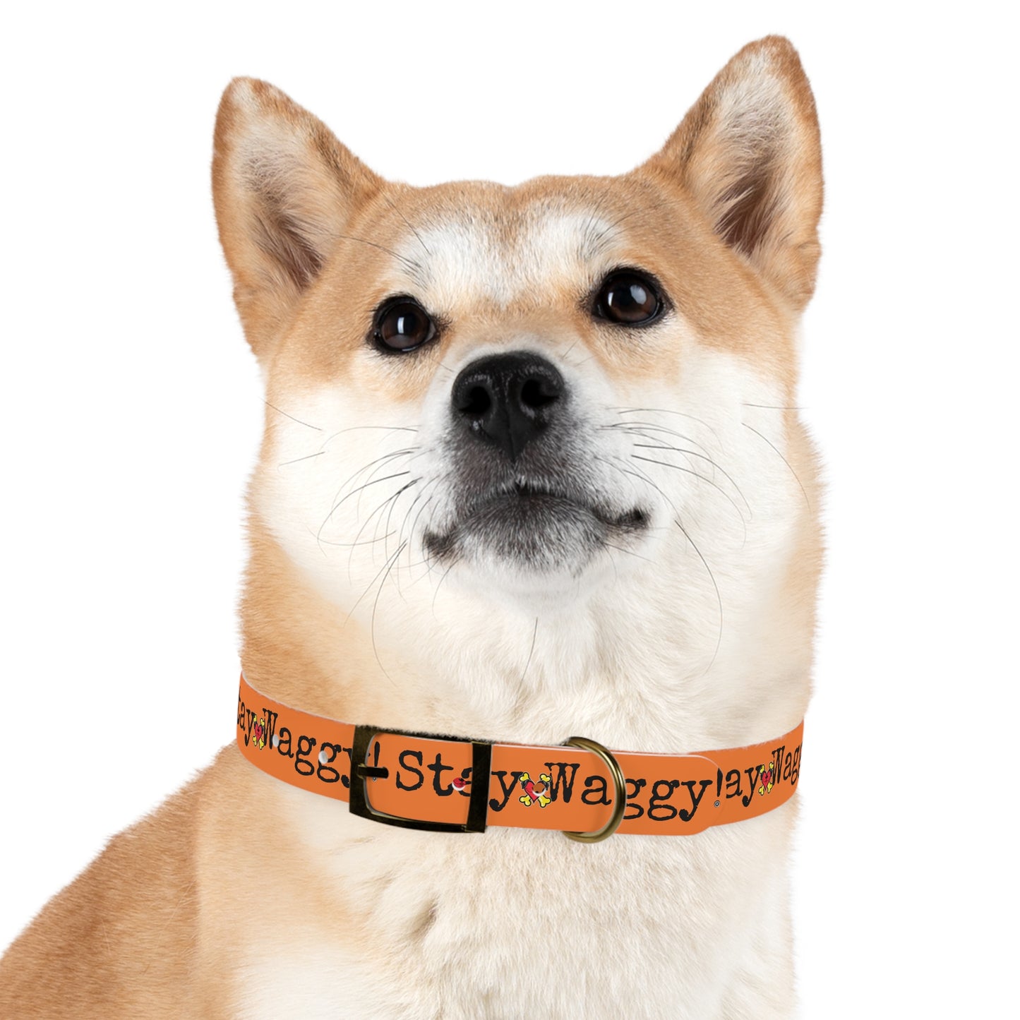 Stay Waggy! Dog Collar - Orange