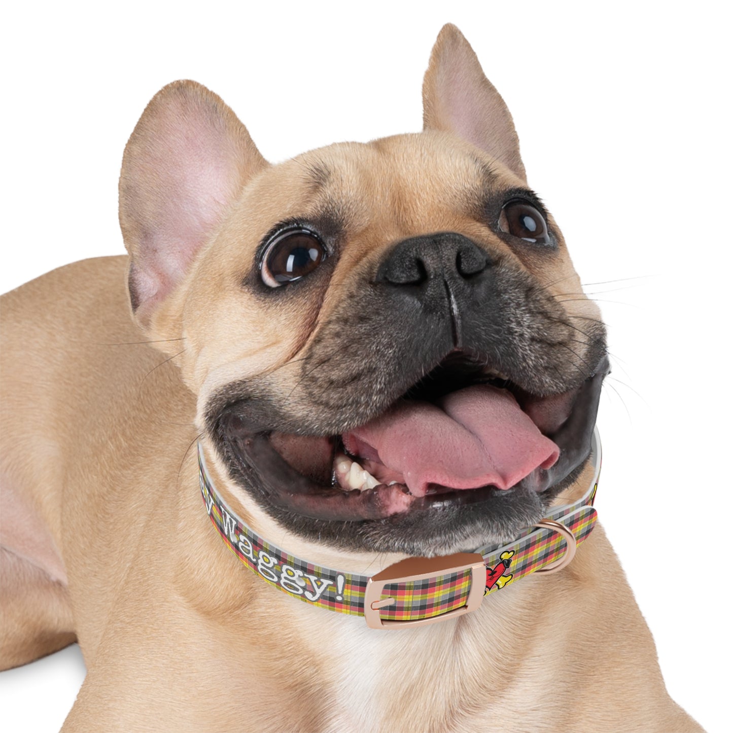 Stay Waggy! Plaid Dog Collar