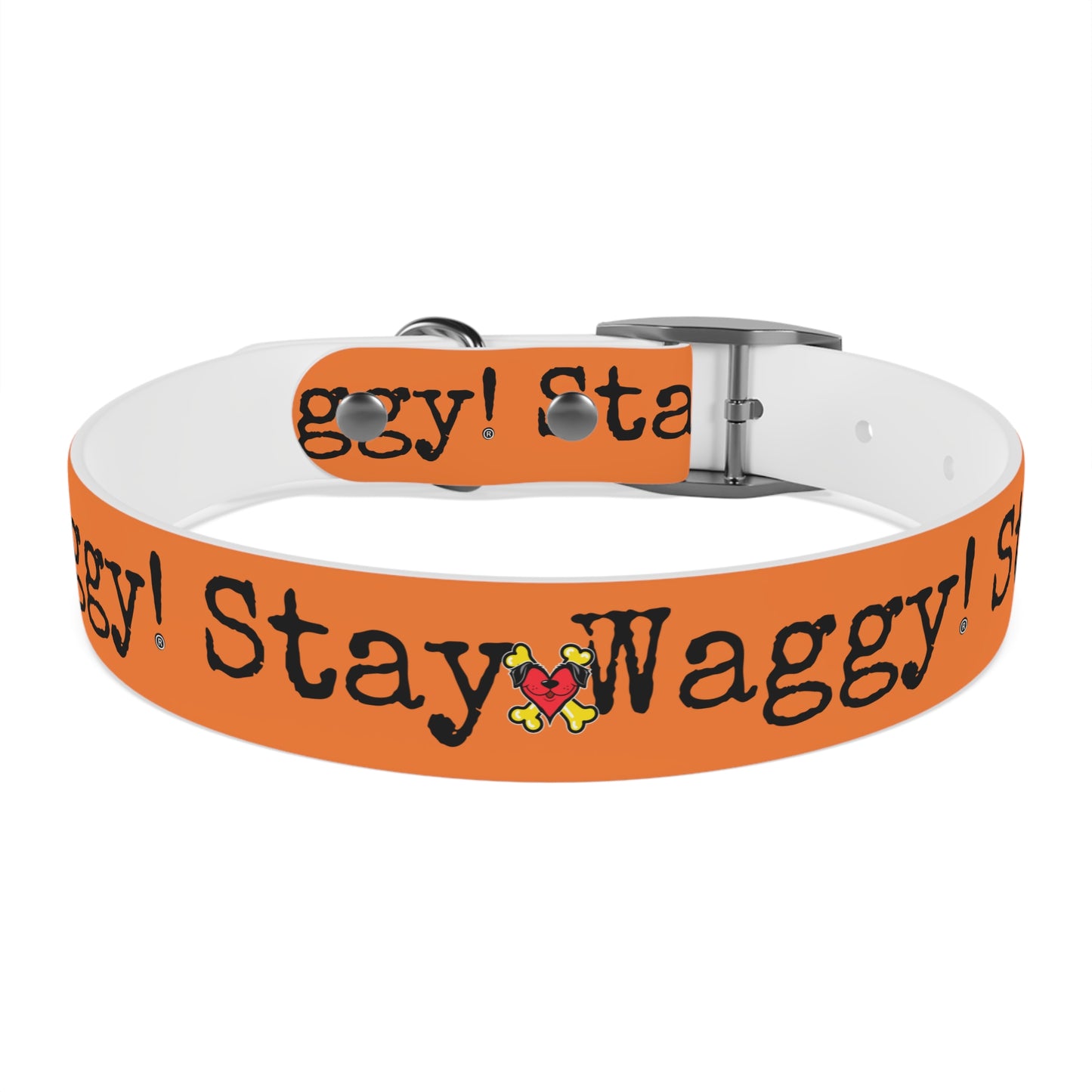 Stay Waggy! Dog Collar - Orange