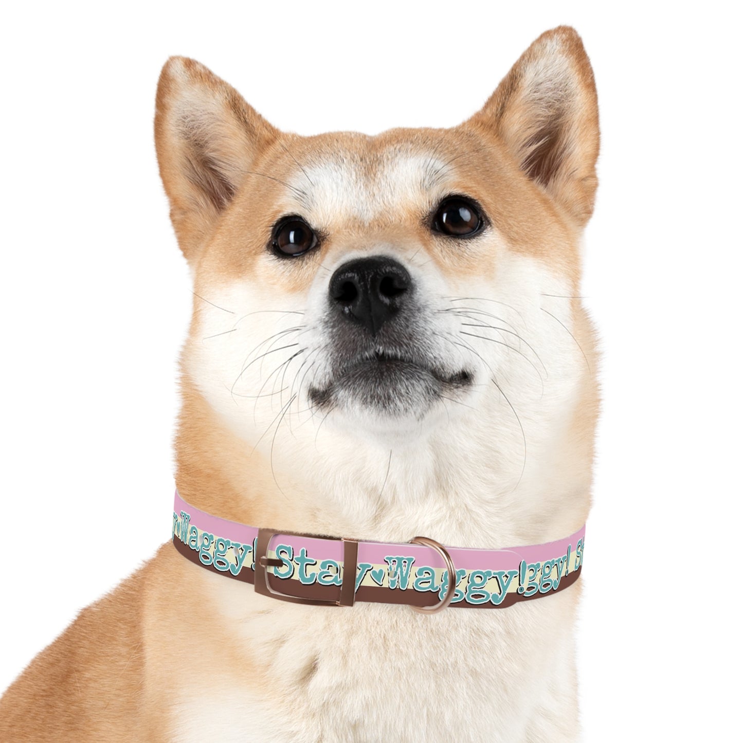 Stay Waggy! Neapolitan Dog Collar