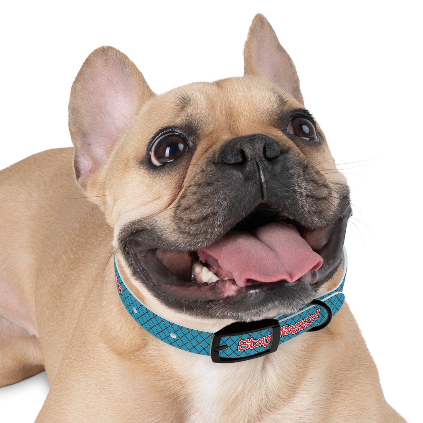 Stay Waggy! Diamond Collar