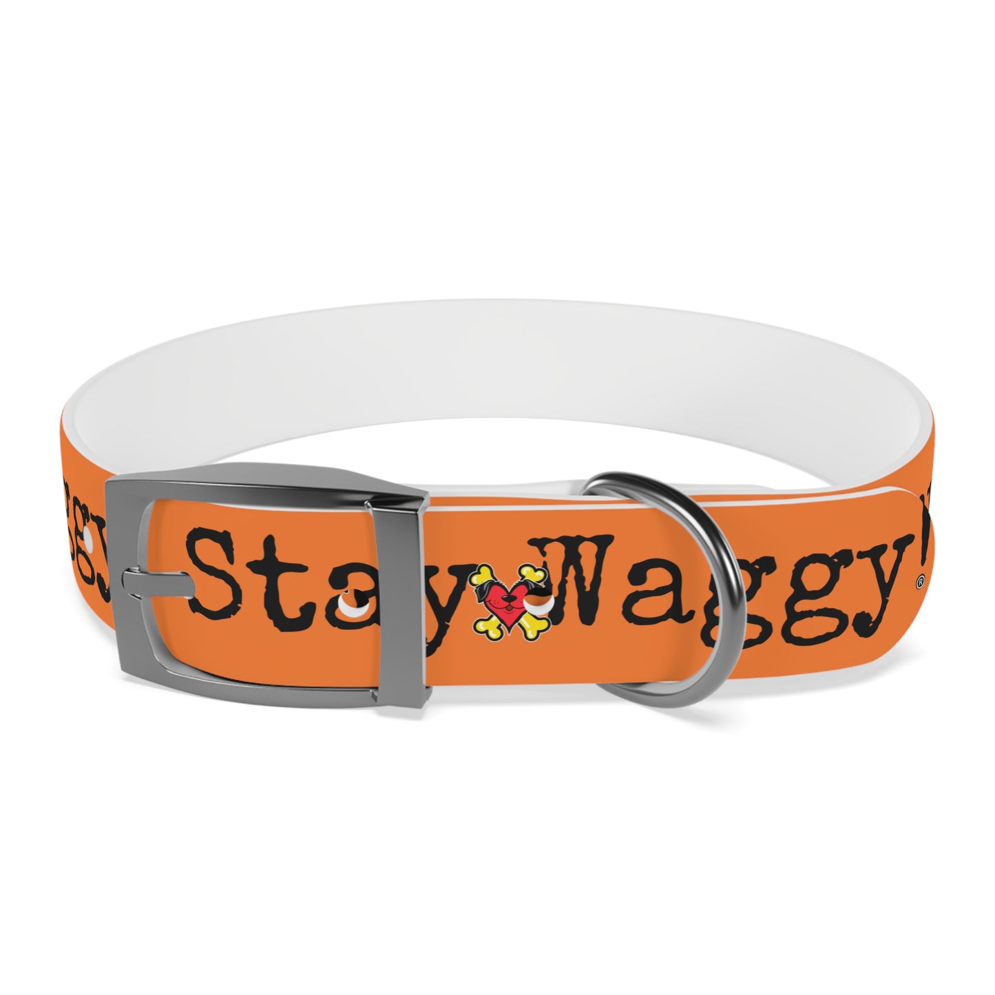 Stay Waggy! Dog Collar - Orange