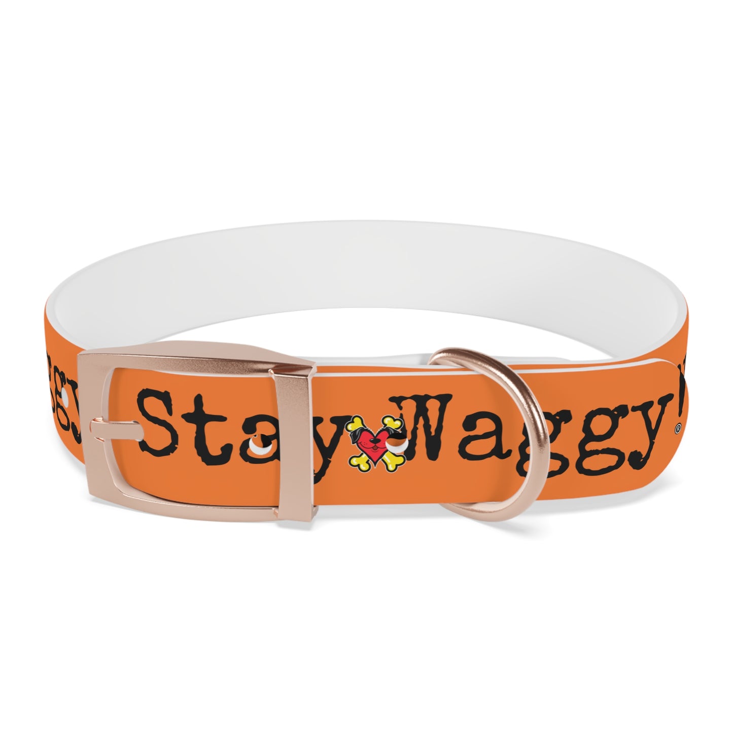 Stay Waggy! Dog Collar - Orange
