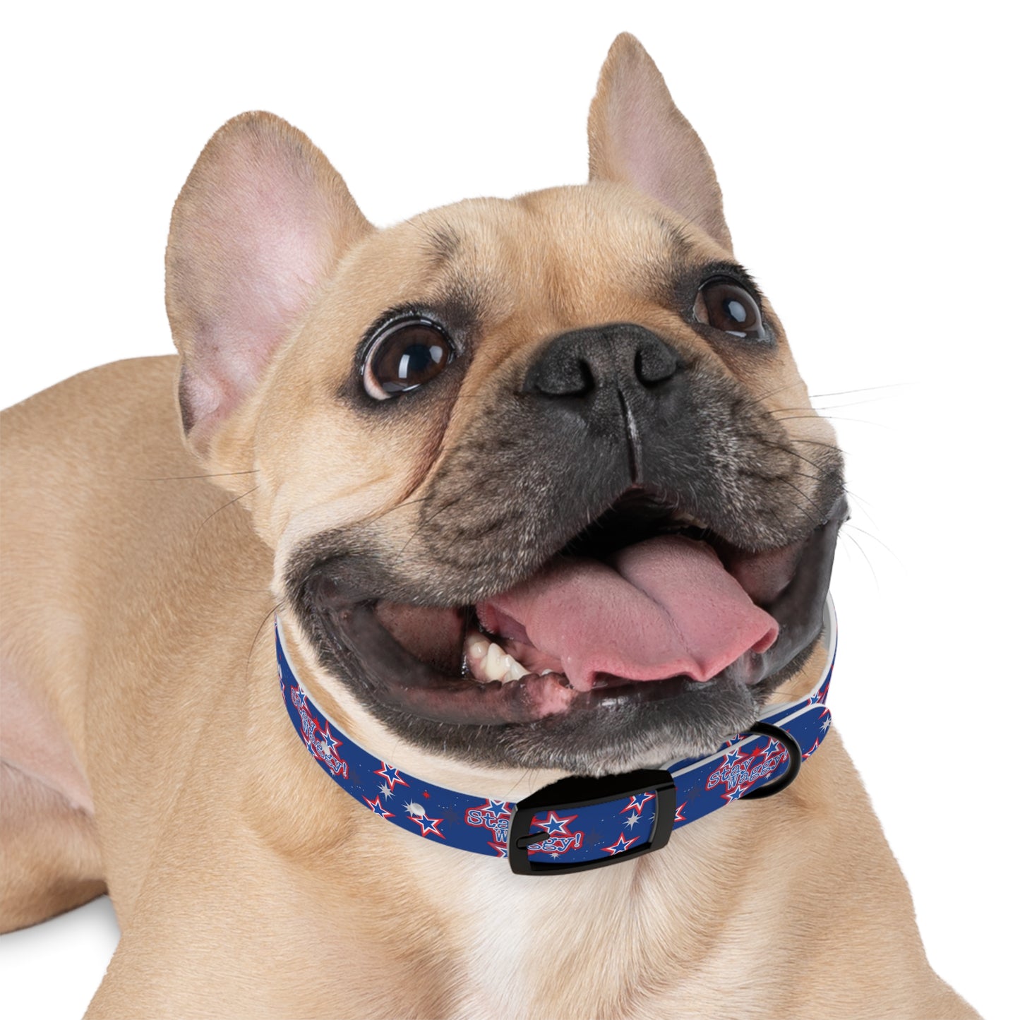 Stay Waggy! Blue Patriotic Stars - Dog Collar