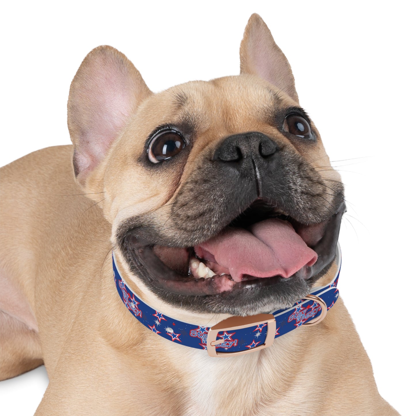 Stay Waggy! Blue Patriotic Stars - Dog Collar