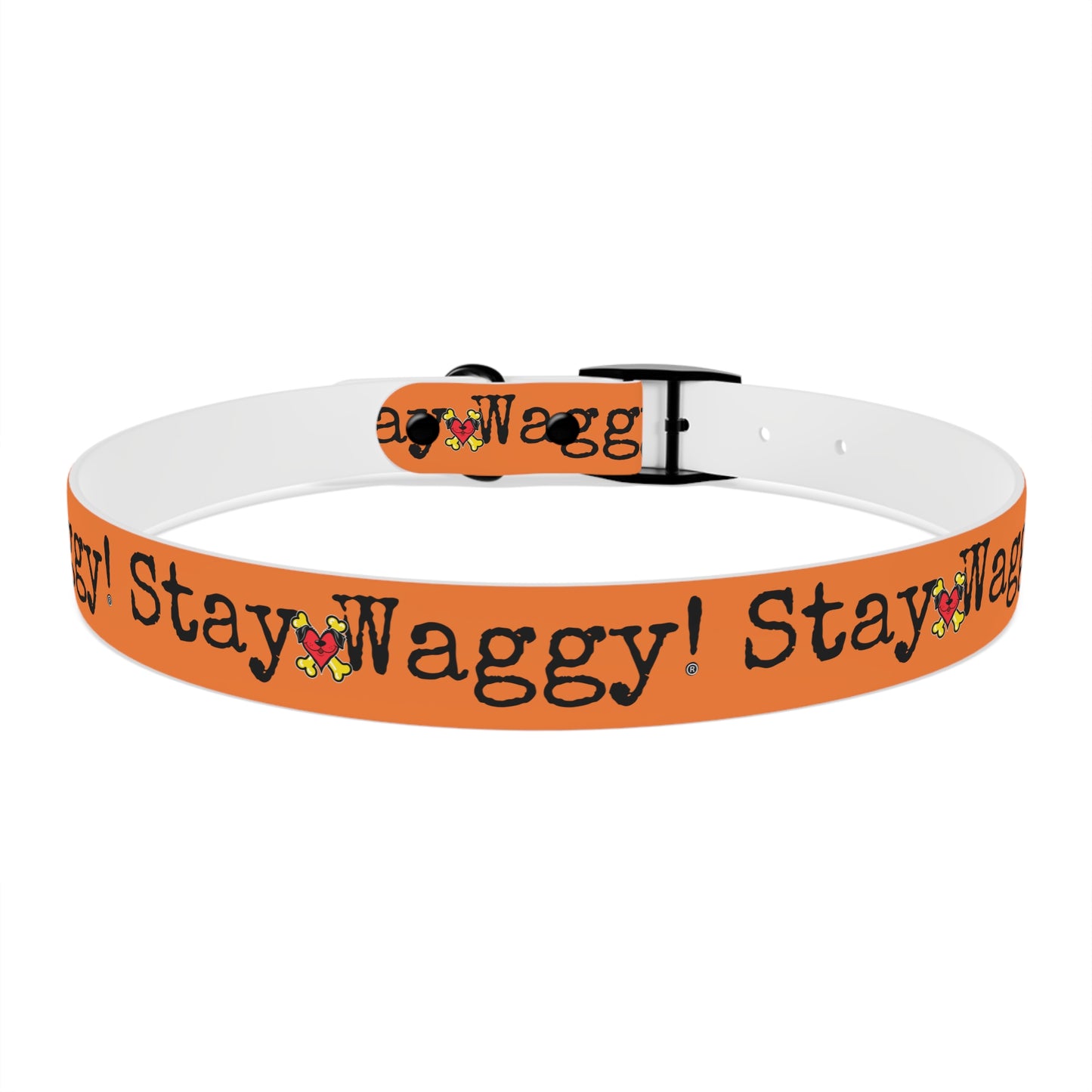 Stay Waggy! Dog Collar - Orange