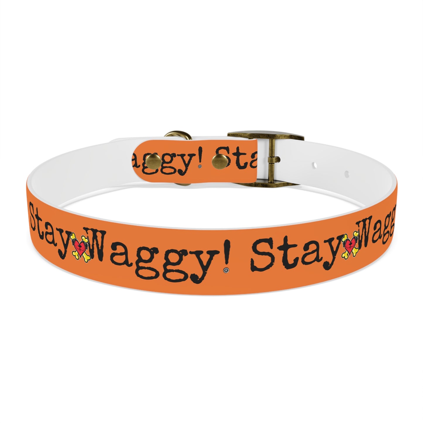 Stay Waggy! Dog Collar - Orange