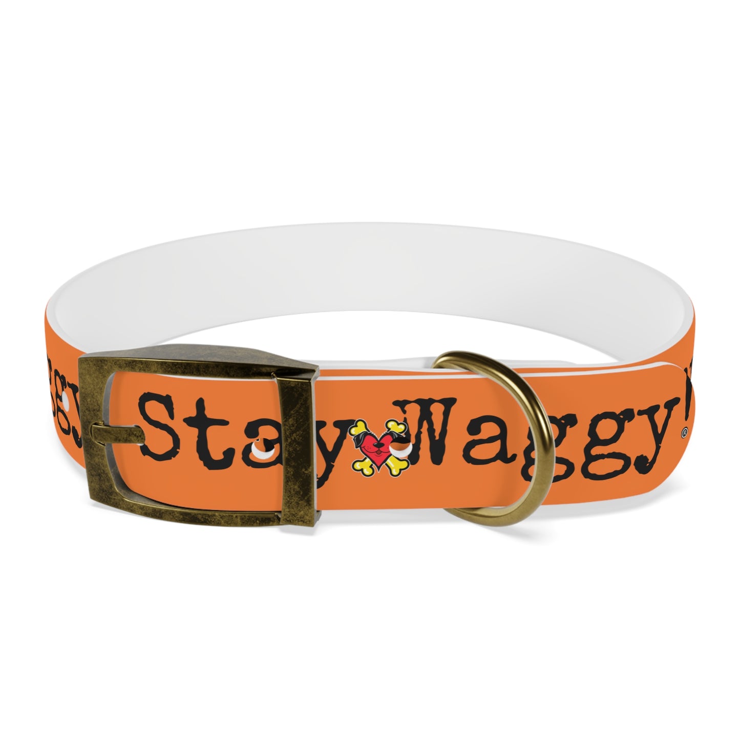 Stay Waggy! Dog Collar - Orange