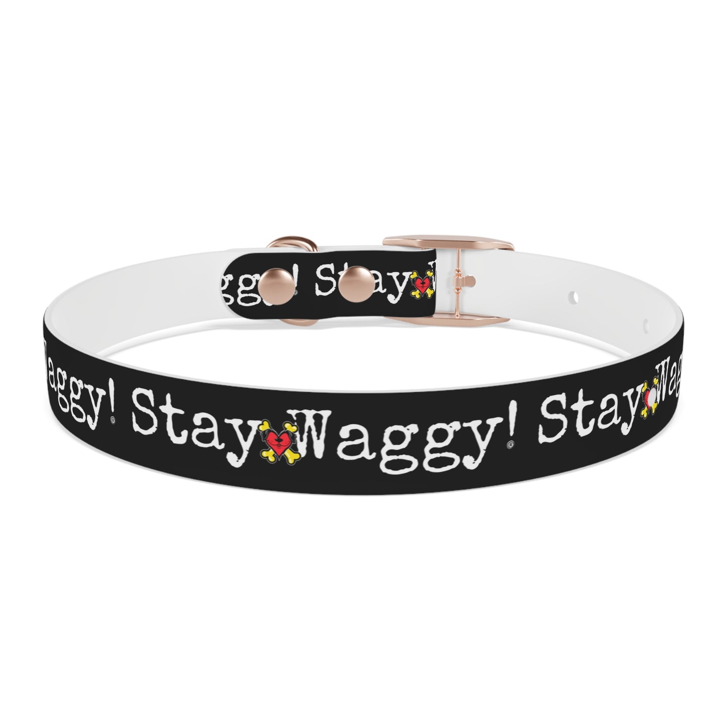 Stay Waggy! Dog Collar - Black
