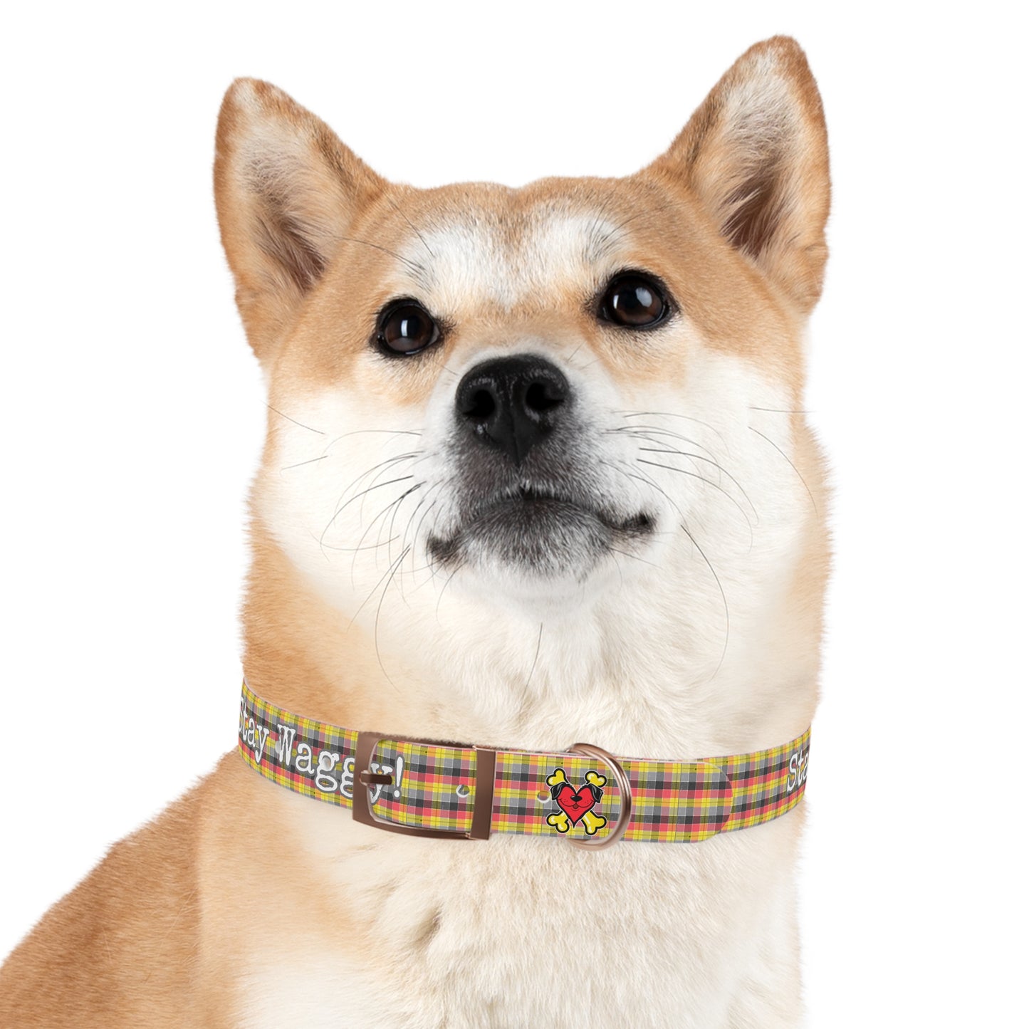 Stay Waggy! Plaid Dog Collar
