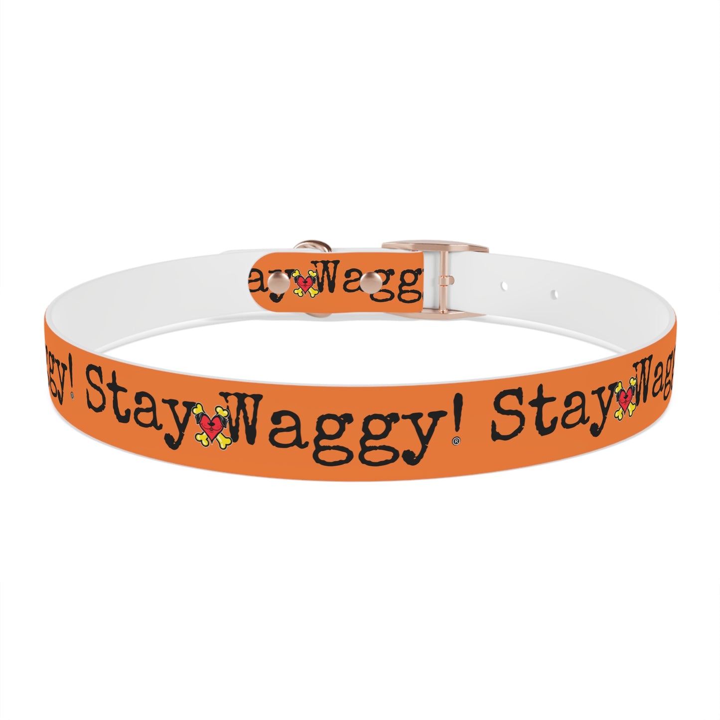 Stay Waggy! Dog Collar - Orange
