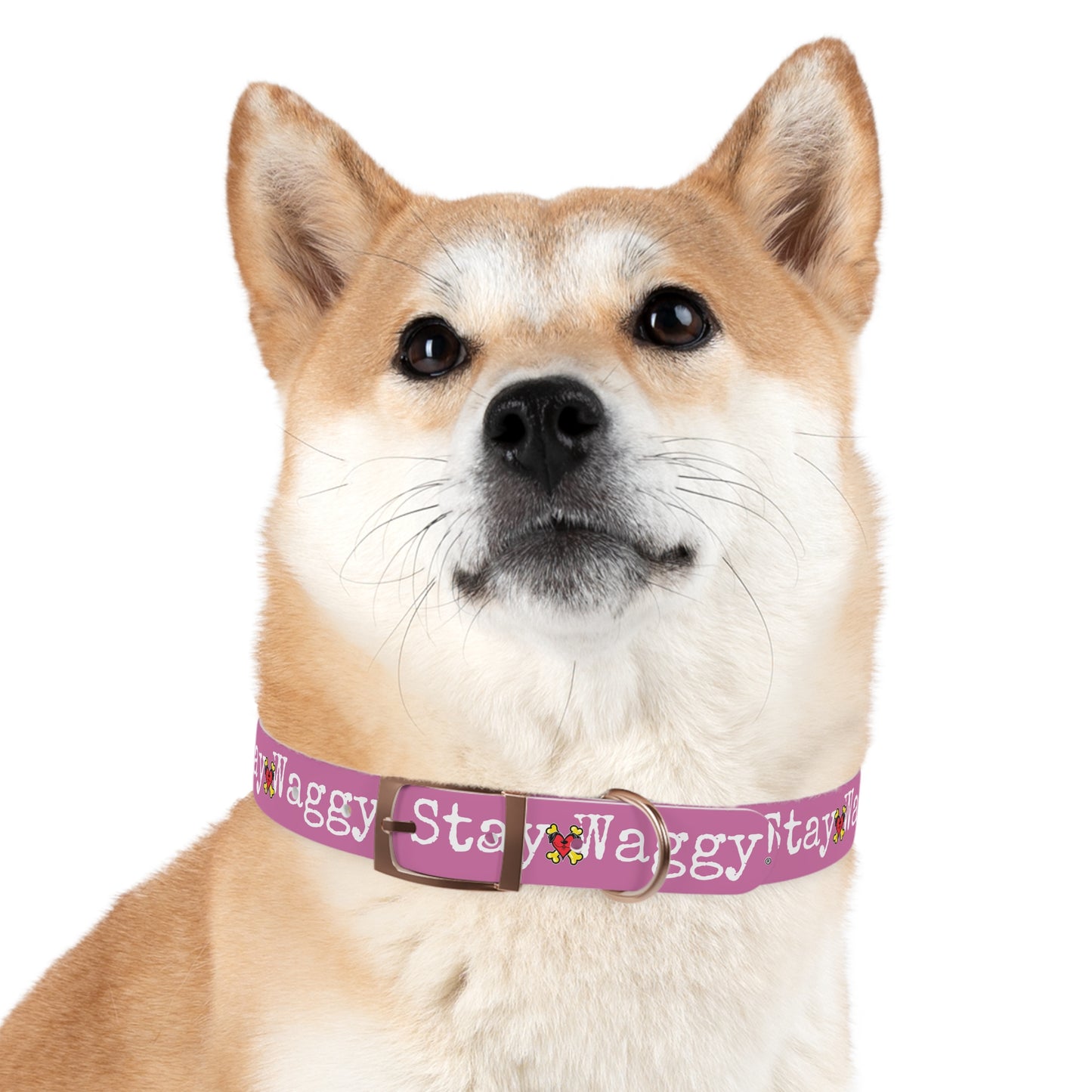 Stay Waggy! Dog Collar - Light Pink