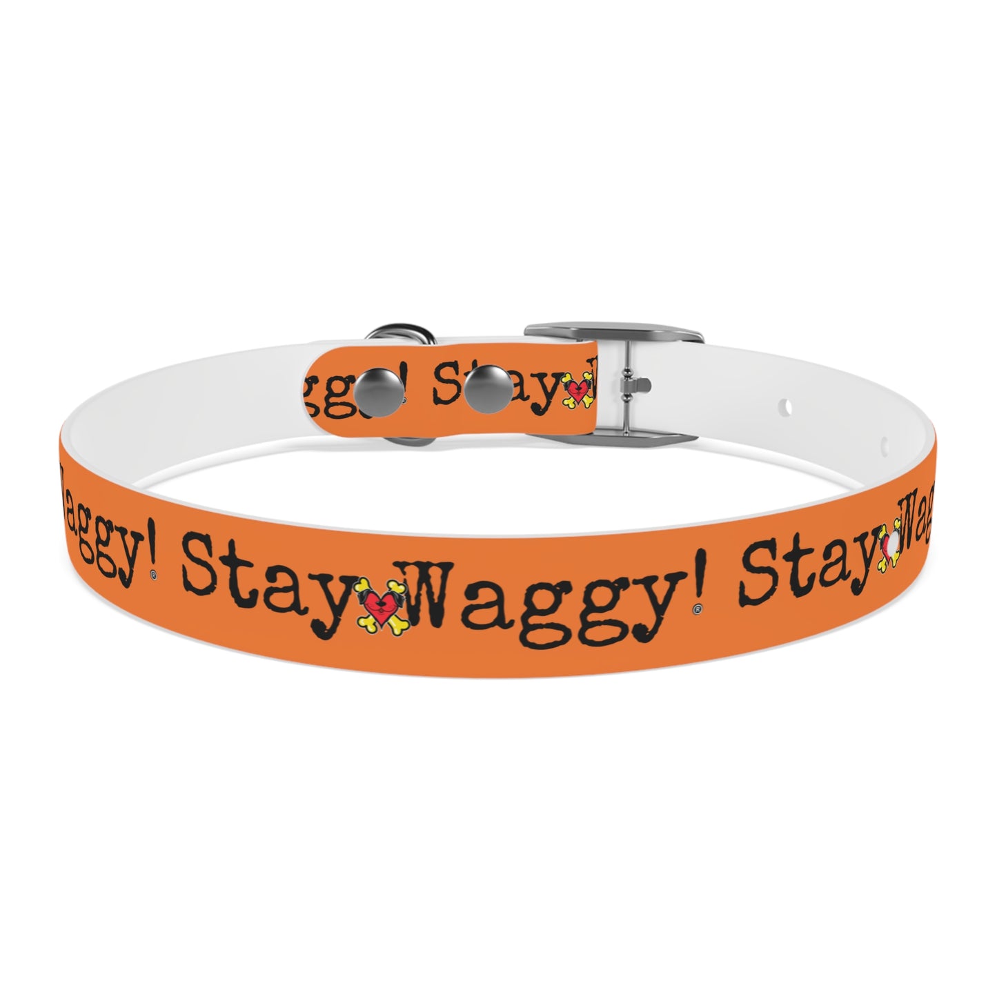 Stay Waggy! Dog Collar - Orange