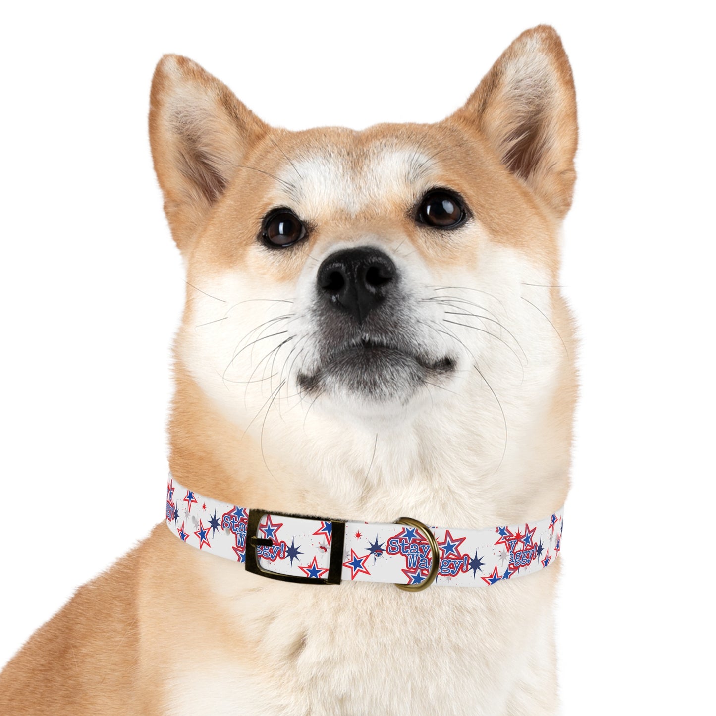 Stay Waggy! White Patriotic Stars Dog Collar