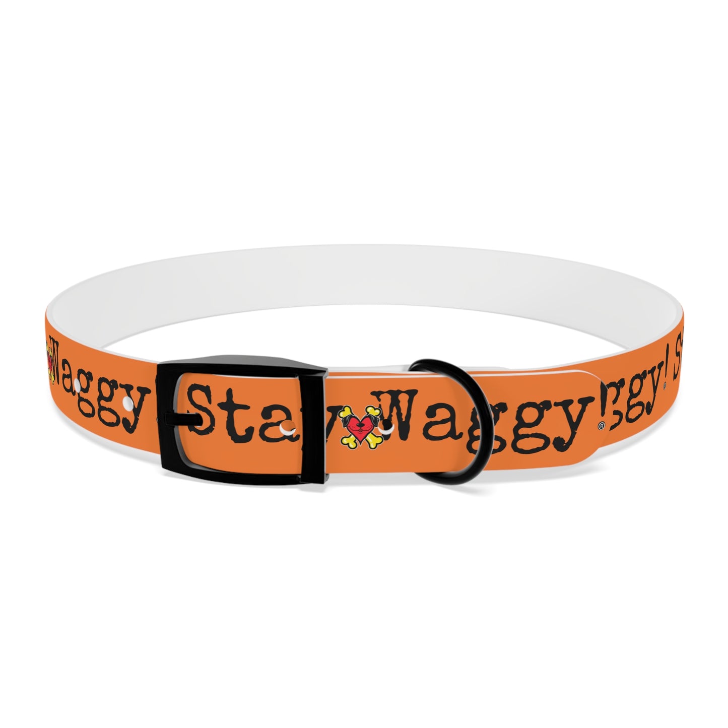 Stay Waggy! Dog Collar - Orange