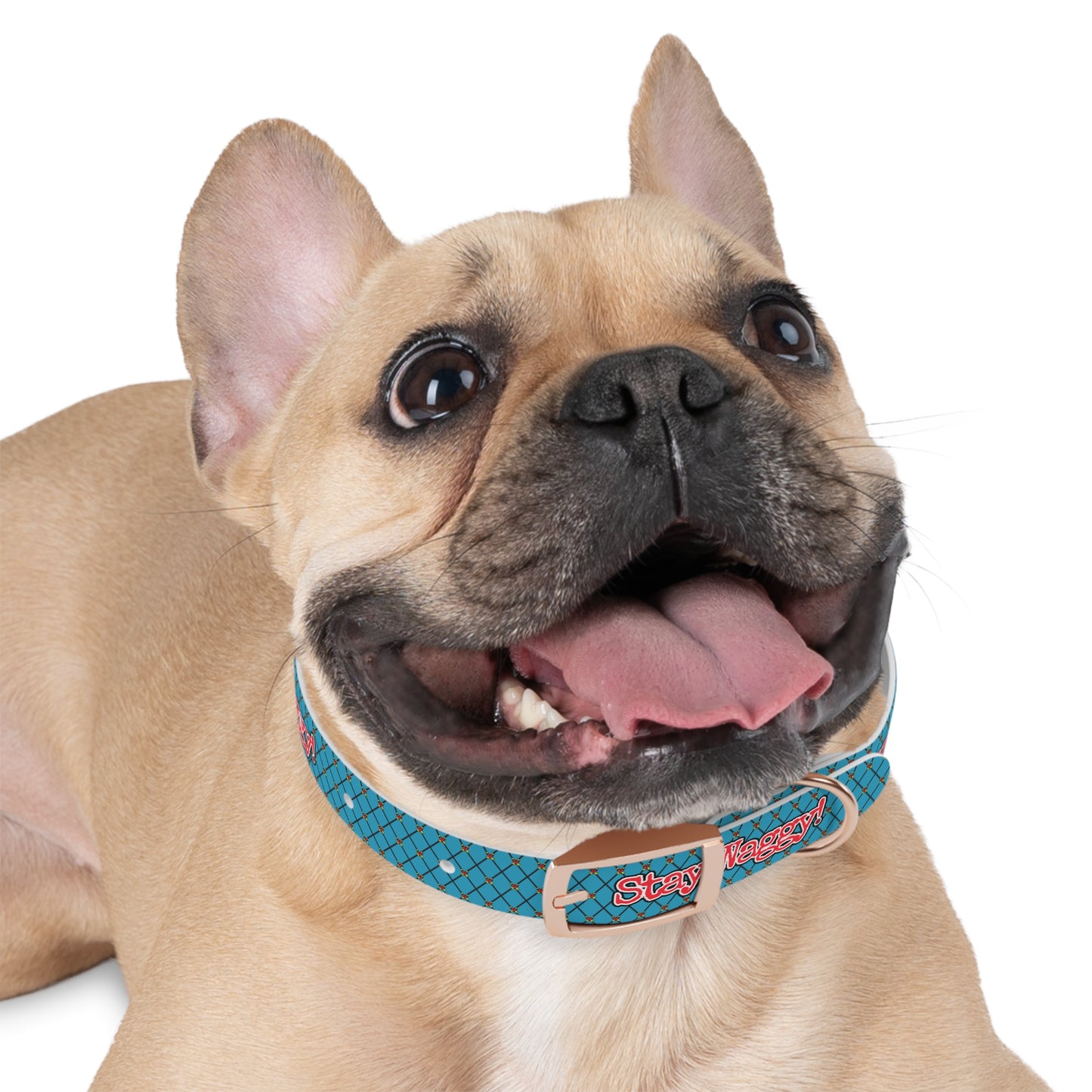 Stay Waggy! Diamond Collar