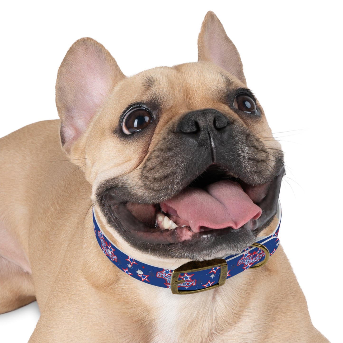 Stay Waggy! Blue Patriotic Stars - Dog Collar
