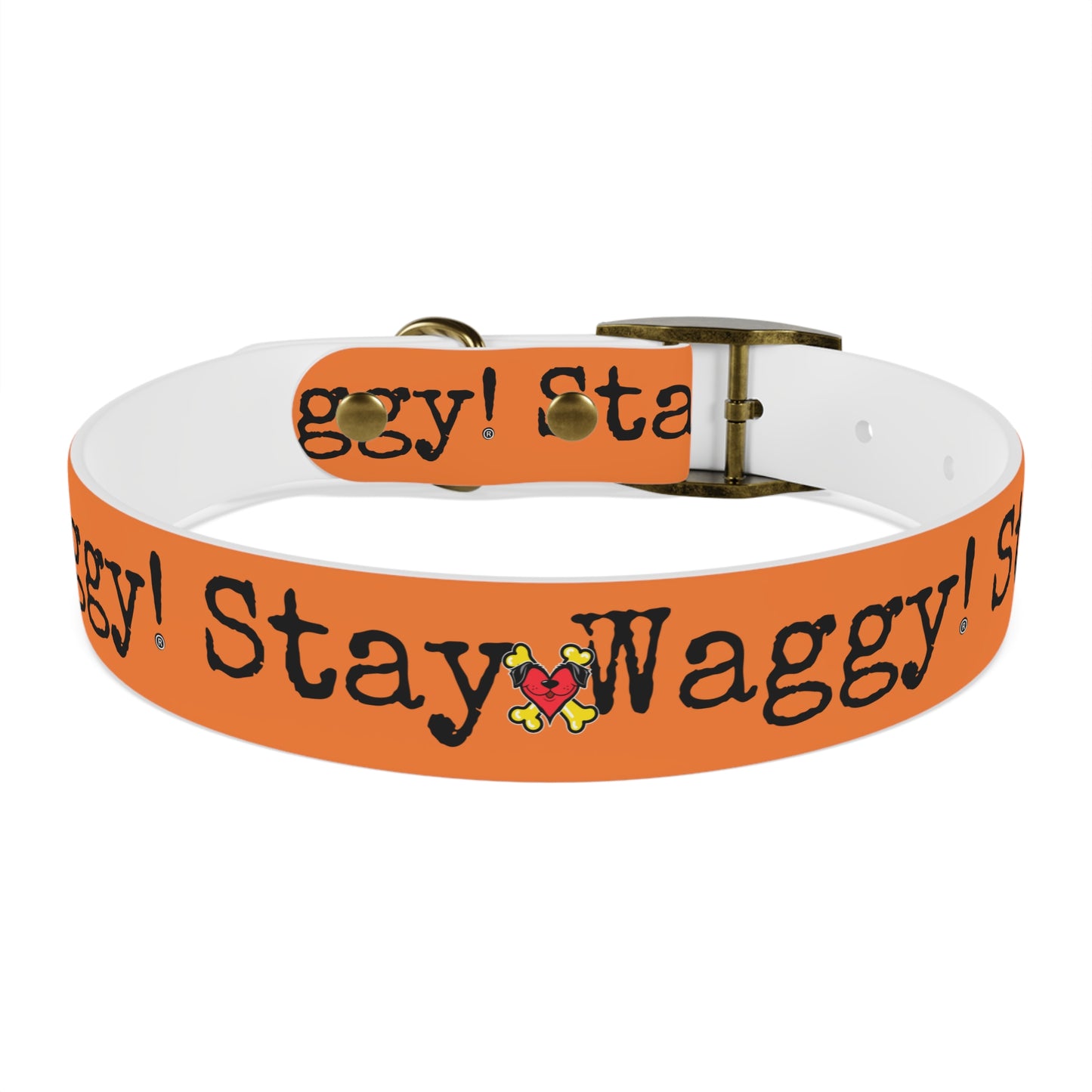 Stay Waggy! Dog Collar - Orange