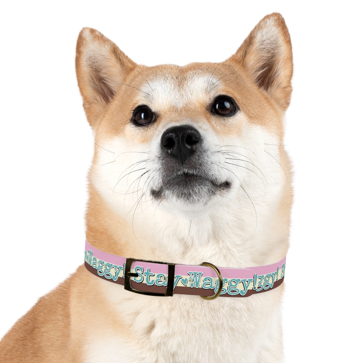 Stay Waggy! Neapolitan Dog Collar