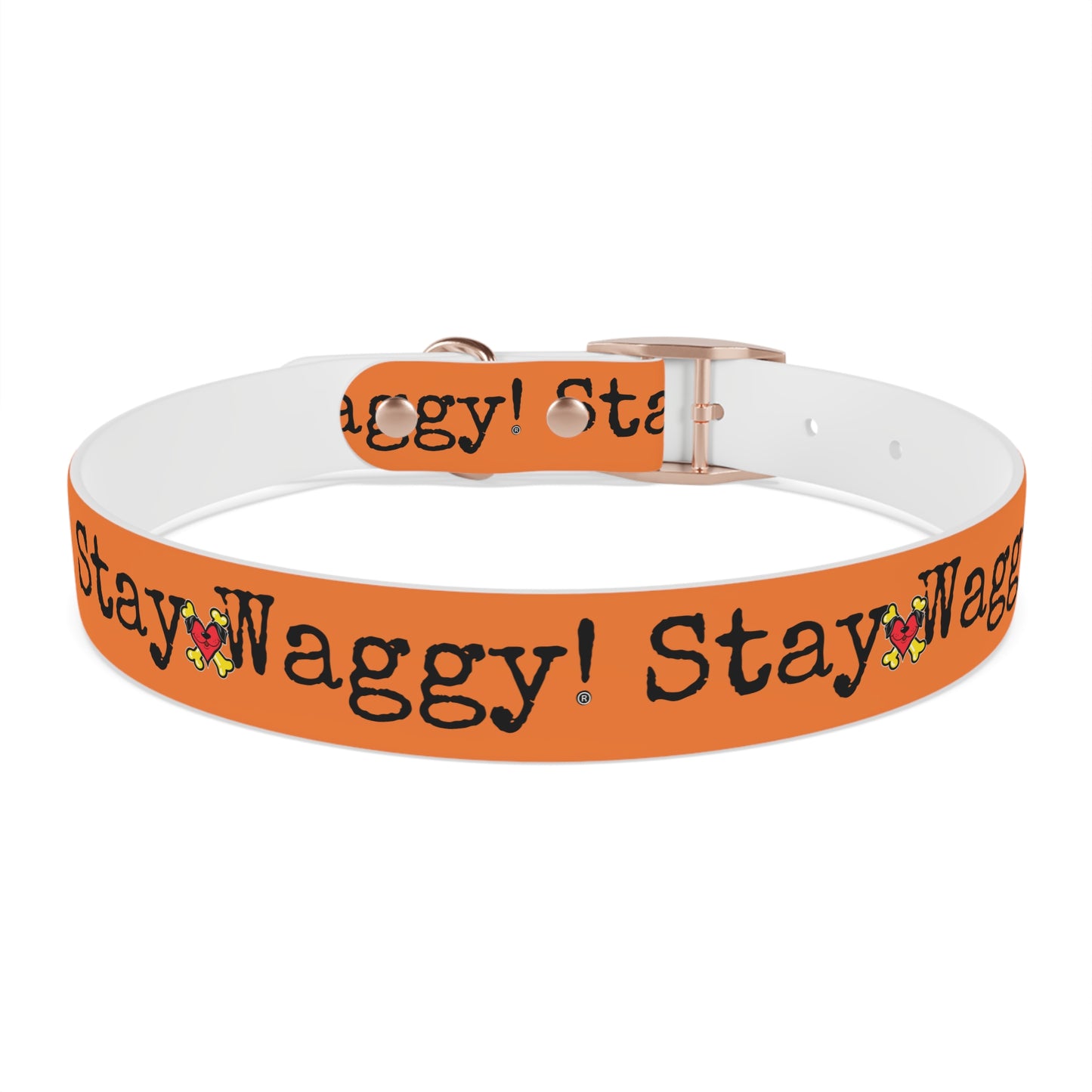 Stay Waggy! Dog Collar - Orange