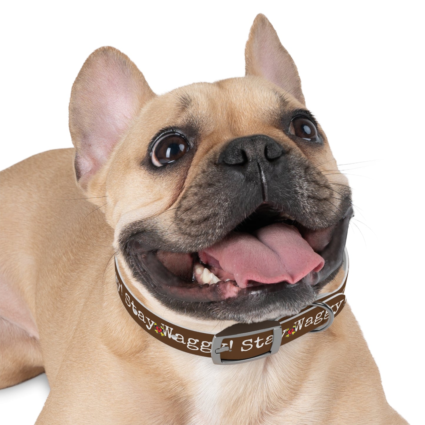 Stay Waggy! Dog Collar - Brown