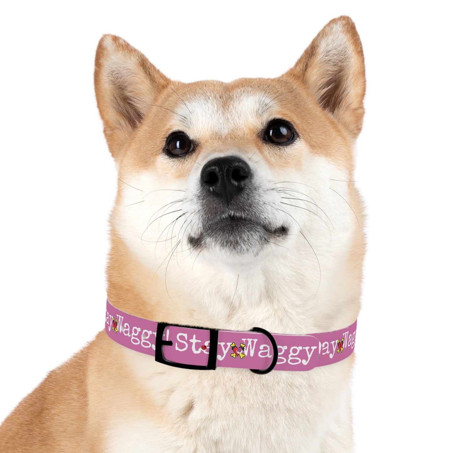 Stay Waggy! Dog Collar - Light Pink