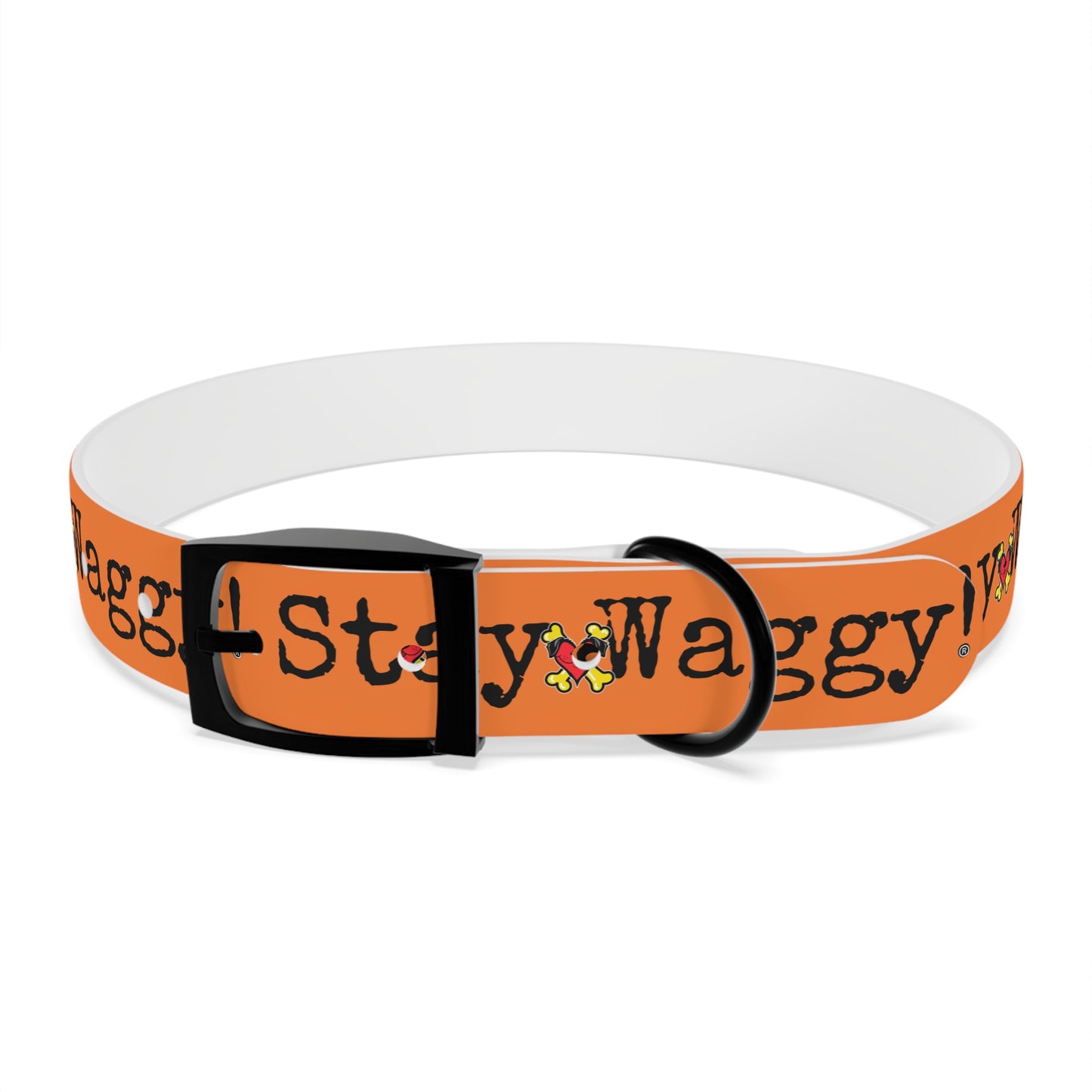 Stay Waggy! Dog Collar - Orange
