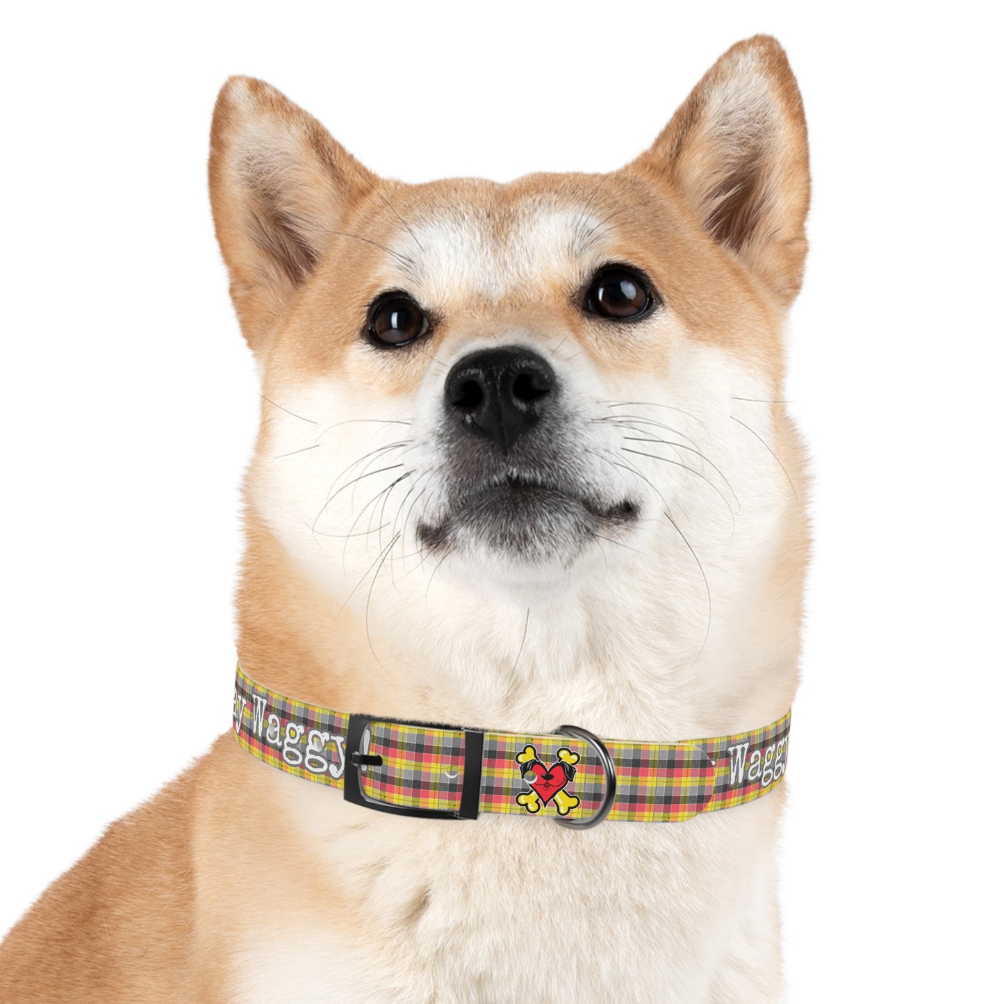 Stay Waggy! Plaid Dog Collar