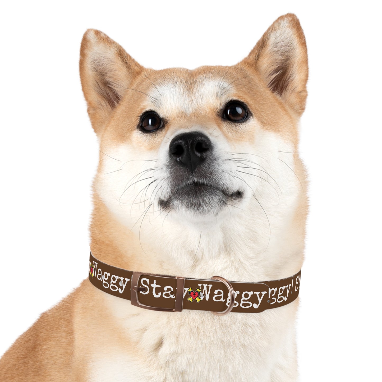 Stay Waggy! Dog Collar - Brown