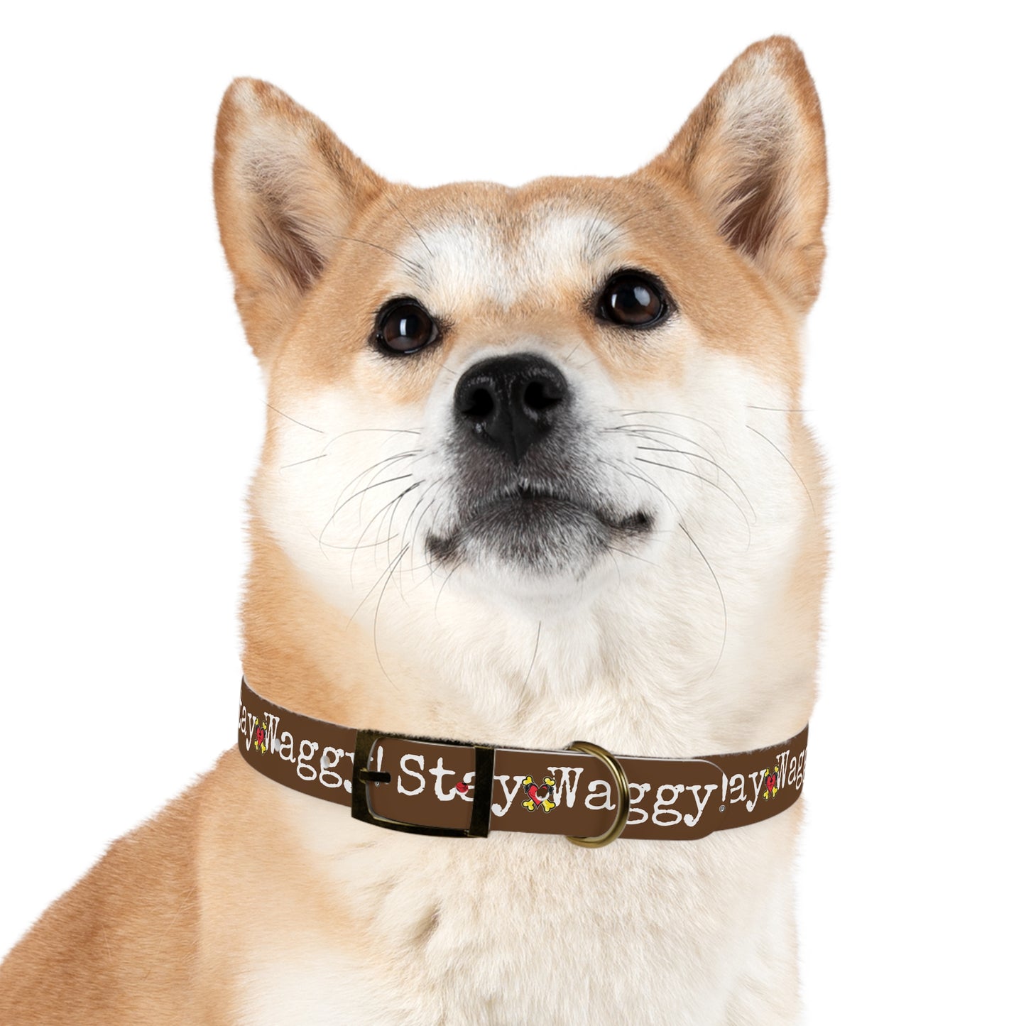 Stay Waggy! Dog Collar - Brown