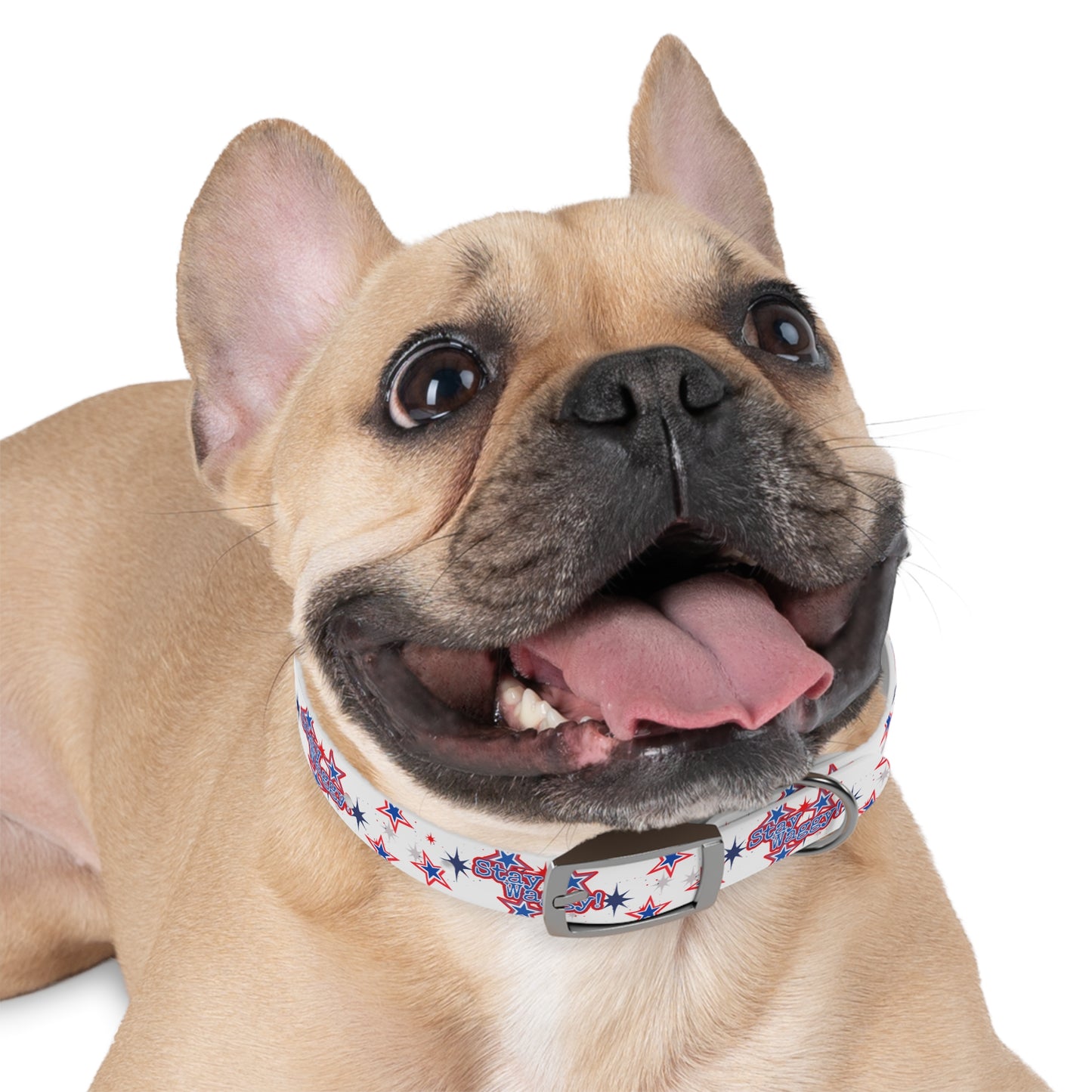 Stay Waggy! White Patriotic Stars Dog Collar