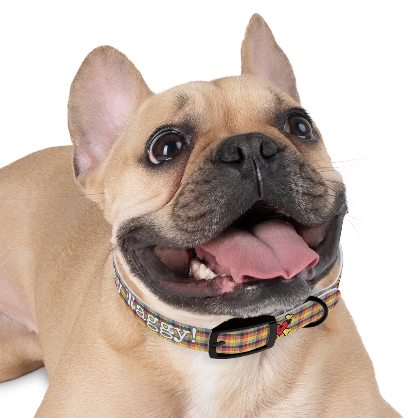 Stay Waggy! Plaid Dog Collar