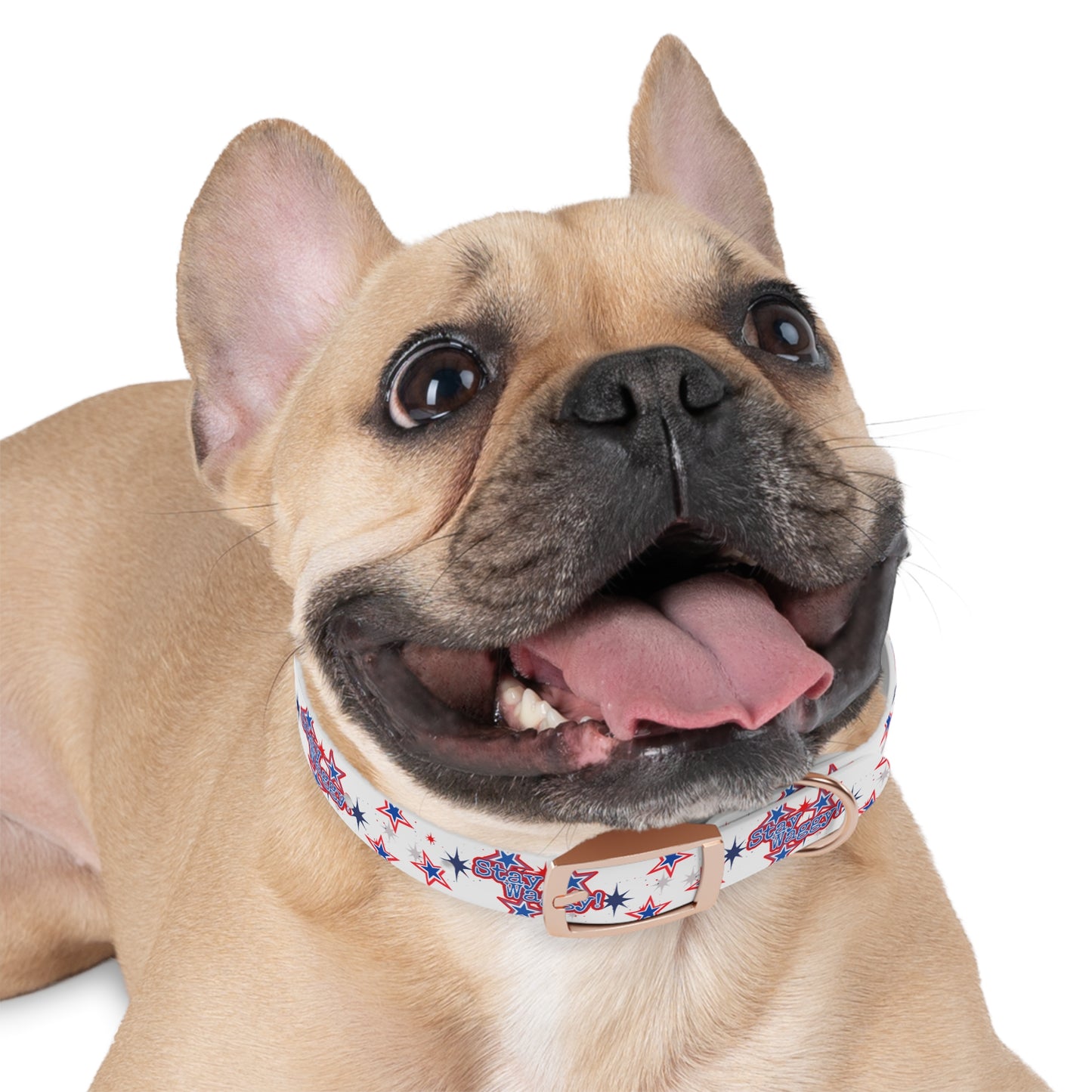 Stay Waggy! White Patriotic Stars Dog Collar