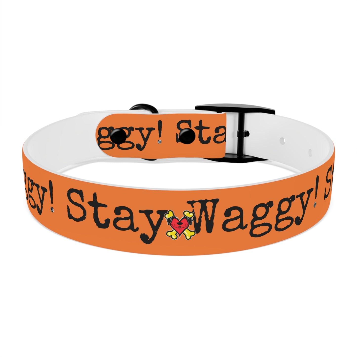 Stay Waggy! Dog Collar - Orange
