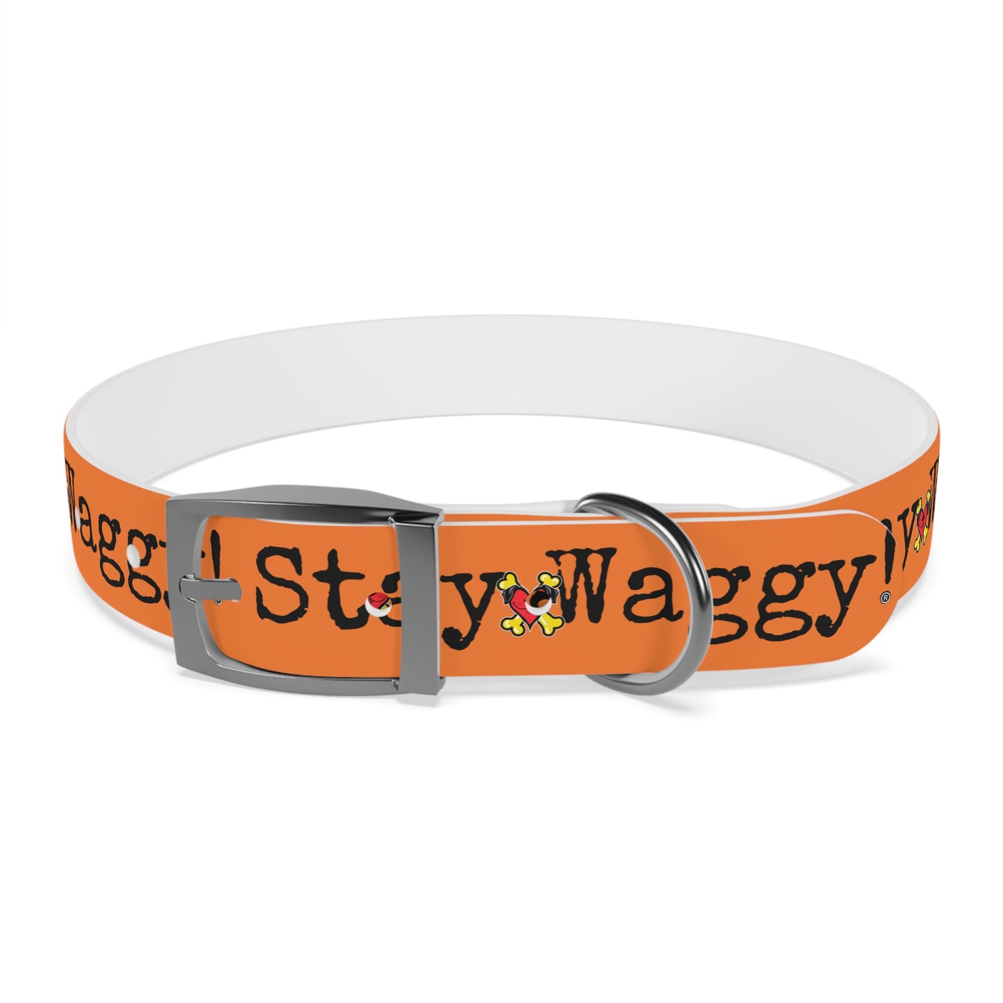 Stay Waggy! Dog Collar - Orange
