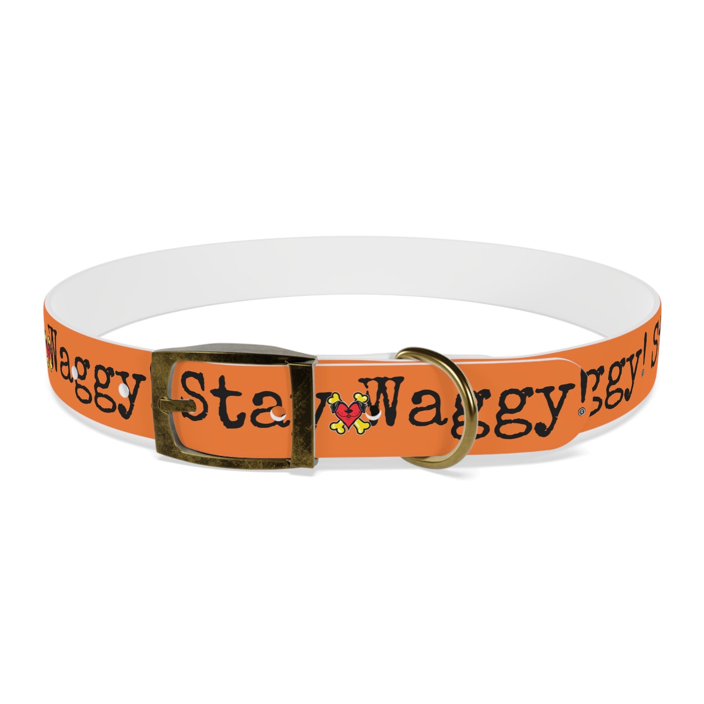 Stay Waggy! Dog Collar - Orange