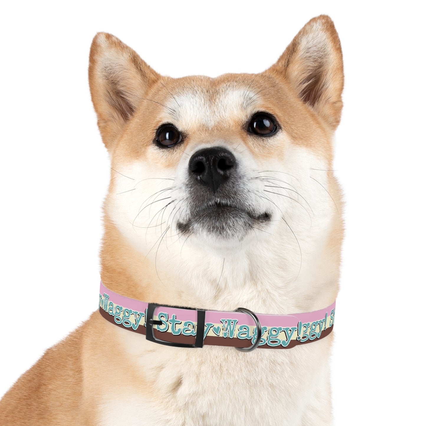 Stay Waggy! Neapolitan Dog Collar