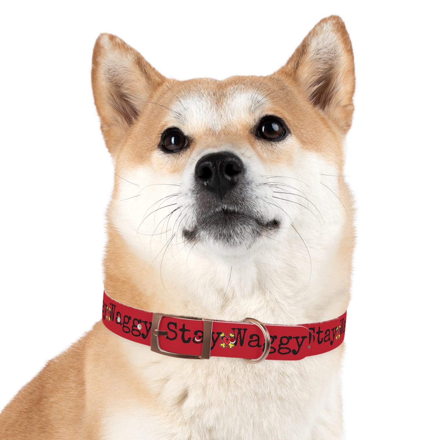 Stay Waggy! Dog Collar - Red