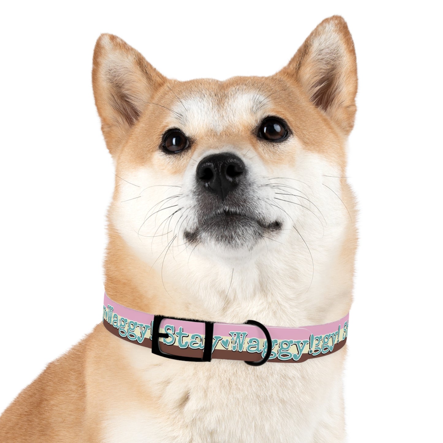 Stay Waggy! Neapolitan Dog Collar