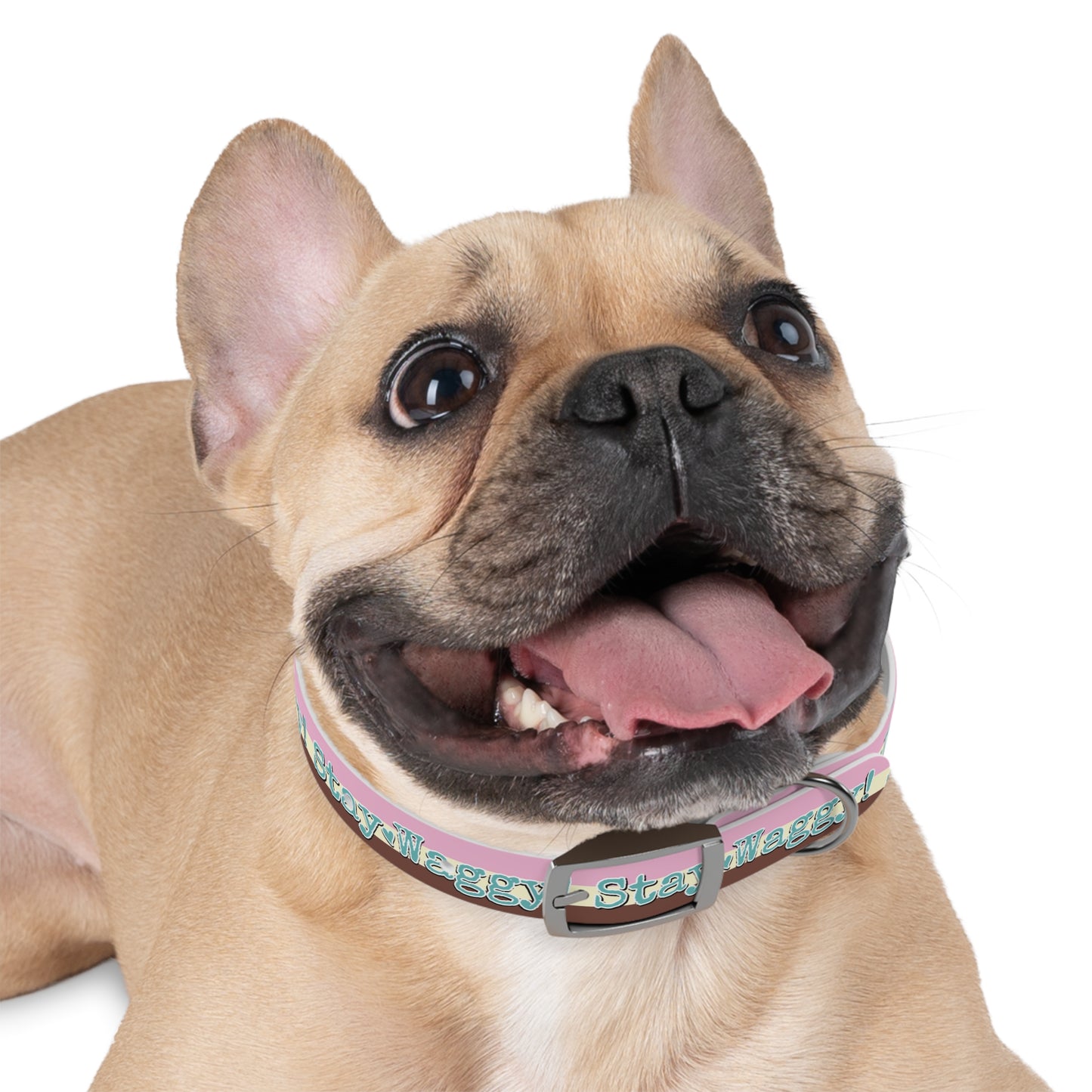 Stay Waggy! Neapolitan Dog Collar