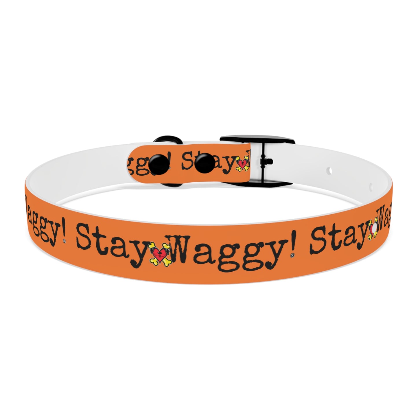 Stay Waggy! Dog Collar - Orange