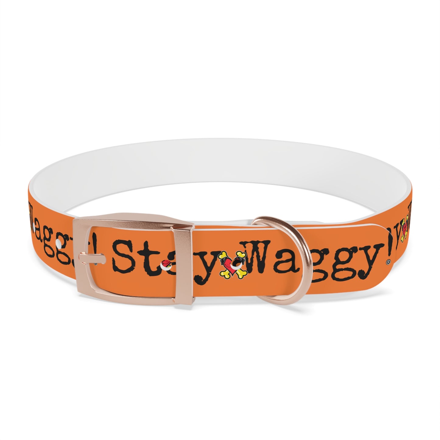 Stay Waggy! Dog Collar - Orange