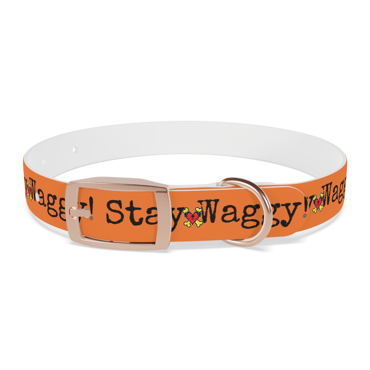 Stay Waggy! Dog Collar - Orange