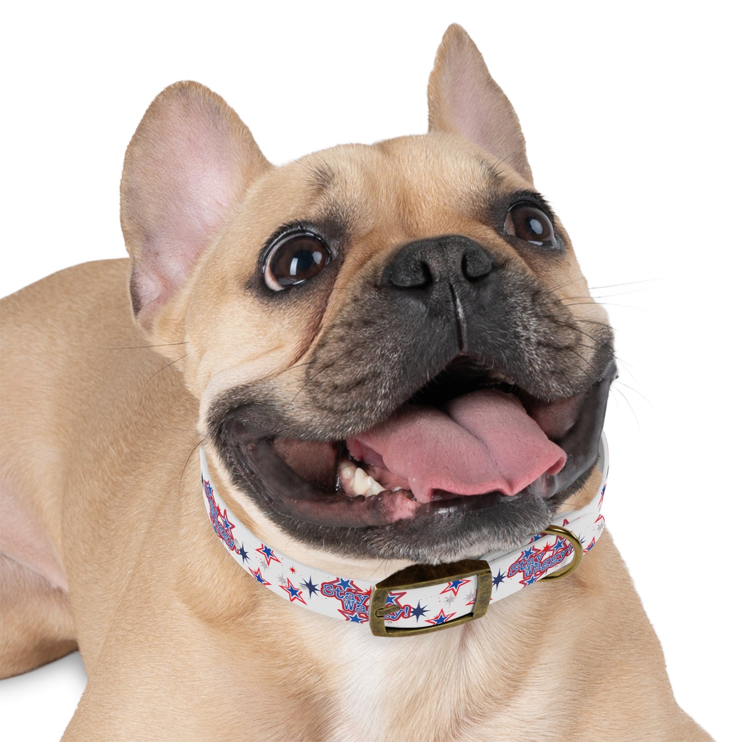 Stay Waggy! White Patriotic Stars Dog Collar