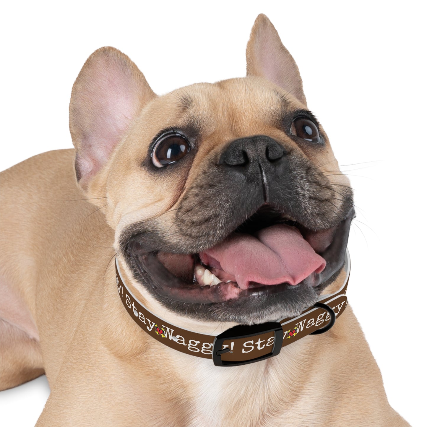 Stay Waggy! Dog Collar - Brown
