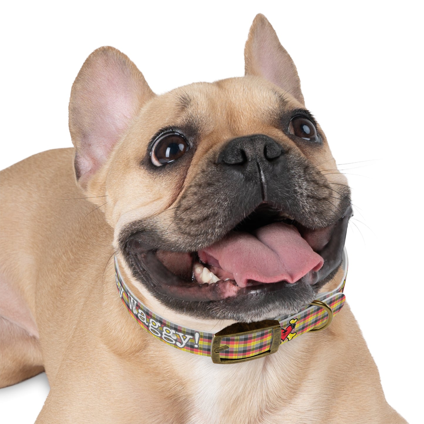Stay Waggy! Plaid Dog Collar