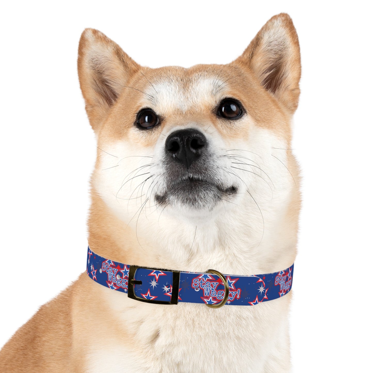 Stay Waggy! Blue Patriotic Stars - Dog Collar
